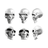 3d rendering of fantasy skull skeleton head from various perspectives view png