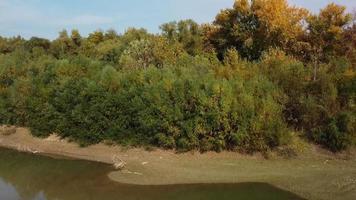 Autumn river and city from drone video