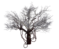 Spooky tree isolated, 3d render png