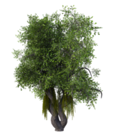 fantástico árbol aislado. 3d hacer png