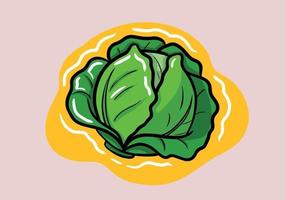 Bright vector illustration of colorful cabbage. Fresh cartoon organic vegetable with name isolated on white background used for magazine, book, poster, card, menu cover, web pages.