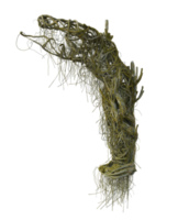 effrayant arbre isolé, 3d rendre png