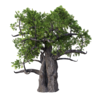 fantástico árbol aislado. 3d hacer png