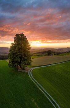 Sunset over swiss pastures, the sky is colored red photo