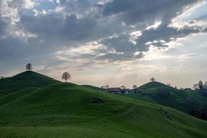 Trees standing on hills during the sunset photo