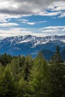 View of the Swiss Alps and coniferous trees photo