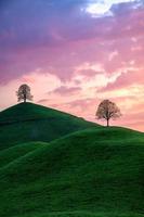 three trees on 3 hills under a purple sky photo