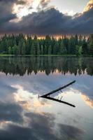 A forest that stands by the water and reflects itself in the water photo