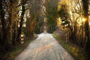 Spring sunny evening on a walking path in a park in France photo