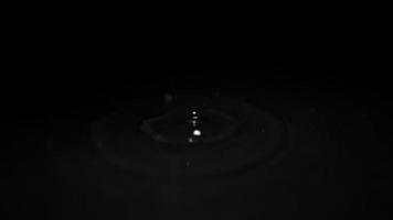 gotas de agua rompe en el agua superficie en un negro antecedentes. lento movimiento. video