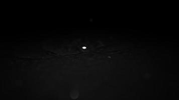 Drops of water breaks on the water surface on a black background. Slow motion. video