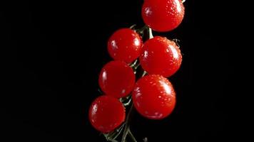 Rote Kirschtomaten drehen sich auf schwarzem Hintergrund. saftiges gemüse in wassertropfen. vegetarisches Konzept. Zeitlupe. video