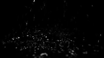 pingos de chuva pausa em a água dentro a Sombrio em uma Preto fundo. água gotas dentro lento movimento. video