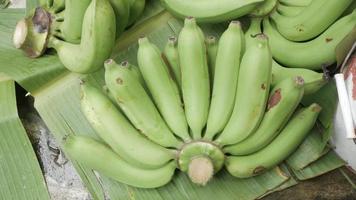 view of fresh green bunch of banana on banana tree leaf