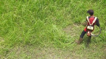 Haut vue de une homme dans une peignoir fauchage le herbe video