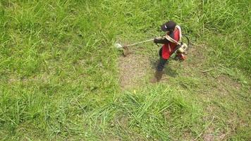 Haut vue de une homme dans une peignoir fauchage le herbe video