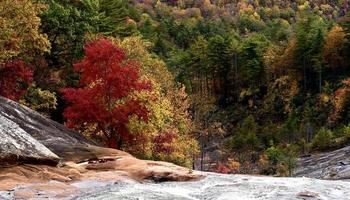 Colorful trees in autumn at Toxaway Falls photo