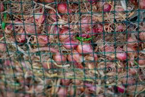 Stacked Onions That Impress photo