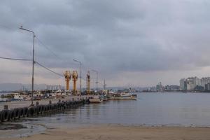 The afternoon at the fishing port photo