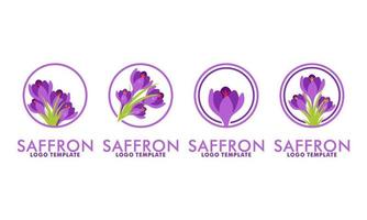 set of saffron logo template, saffron vector isolated on white background