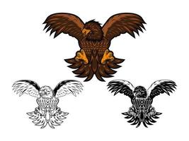 set Eagle isolated on white. This vector illustration can be used as a print on t-shirts, tattoo element or other uses