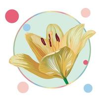 Yellow lily flower in a round frame with colorful peas. Green leaves, open buds, closed buds, yellow flowers. Realistic vector graphics