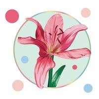 Pink lily flower in a round frame with colorful peas. Green leaves, open buds, closed buds, pink flowers. Realistic vector graphics