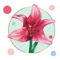 Pink lily flower in a round frame with colorful peas. Green leaves, open buds, closed buds, pink flowers. Realistic vector graphics