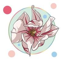 pink magnolia flower, lotus flower, isolated in a turquoise circle on a white background with colorful dots. green leaves, open buds, closed buds, pink flowers. vector illustration. abstraction