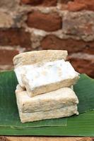 Raw Tempeh Gembus, Soft Tempeh made from Tofu Pulp Dregs. photo