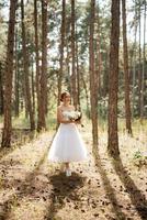 young bride in a white short dress in a spring pine forest photo