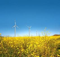 Wind turbine view photo