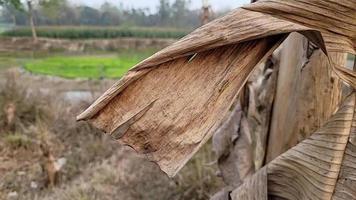 étrange formes de la nature gratuit vidéo video