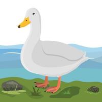 White duck standing on ground vector illustration