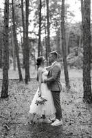 young couple bride in a white short dress and groom in a gray suit in a pine forest photo