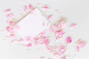 Flatlay composition of pink peony petals and an empty postcard on the white background photo
