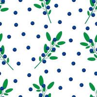 Blueberry seamless pattern on white background vector