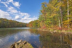 Colorful Trees on a Calm Fall Day photo