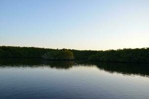 pond or lake water at sunset with trees at dusk photo