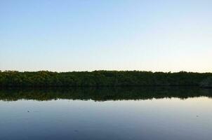 estanque o lago agua a puesta de sol con arboles a oscuridad foto