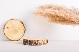 Natural mock-up of tree slices and ears of grass on a light background photo