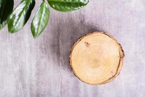 Natural mock-up of a tree cut and a branch with leaves on a gray background. Top view photo