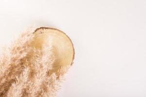 Natural mock-up with cut ofv tree and ears of grass on a light background. Top view photo