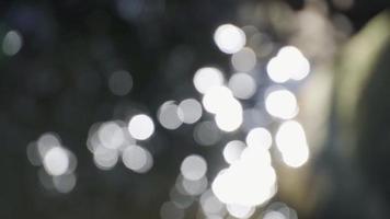 Bokeh sun reflected flare on water surface, Abstract blurred lights with bokeh at the seaside, Sparkling circular animation video