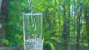 Gießen gereinigt Wasser in ein Glas von Wasser auf ein verschwommen Grün Blatt Hintergrund video