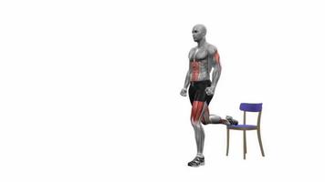 Chair bulgarian split squat bodyweight right fitness exercise workout animation video male muscle highlight 4K 60 fps