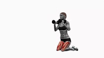 Dumbbell kneeling squat fitness exercise workout animation video male muscle highlight 4K 60 fps