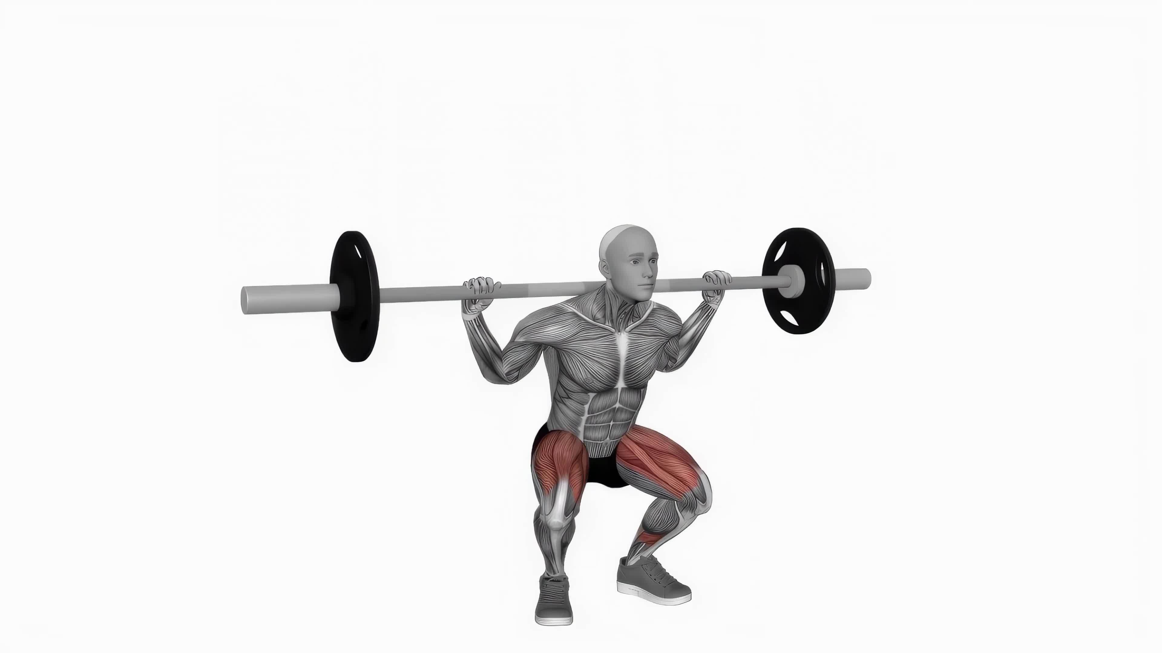 Workout Animation Stock Video Footage for Free Download