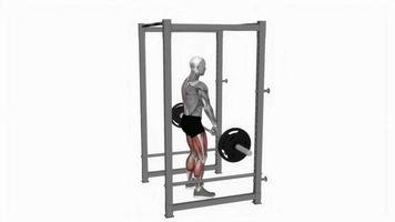 Barbell rack pull fitness exercise workout animation video male muscle highlight 4K 60 fps