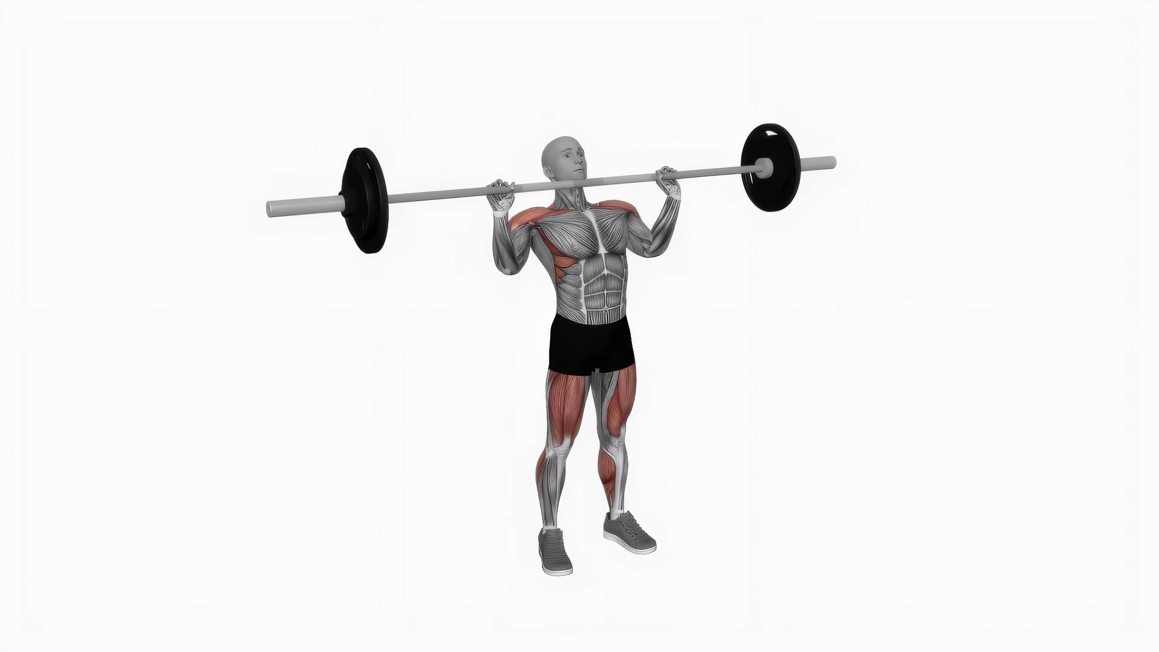 Barbell power jerk fitness exercise workout animation video male muscle